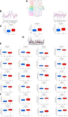 Comprehensive analysis of cuproptosis-related long noncoding RNA immune infiltration and prediction of prognosis in patients with bladder cancer